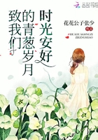 致我们的青葱岁月时光安好是第几集