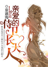 亲爱的侍卫长大人小说