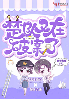 楚队又在破案了小说免费阅读