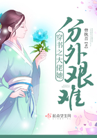 穿书之大佬们倒戈了