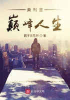 美利坚巅峰人生免费阅读