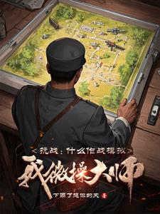 抗战什么作战模拟我微操大师免费阅读