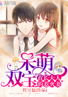 呆萌双宝首长大人的惹火妻免费