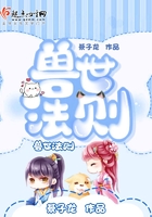 兽世法则宠爱