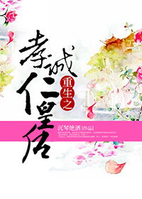 重生之孝诚仁皇后 小说