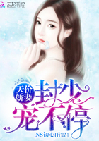 天价娇妻封少宠不停免费下载