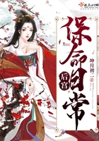 后宫保命日常全文 网盘