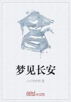 梦里见长安寓意什么