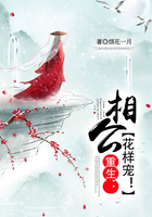 重生相公别撩我免费阅读