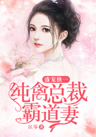 盛宠萌妻霸道总裁请温柔