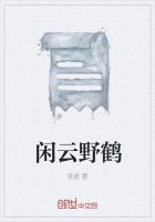 闲云野鹤的诗句