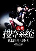 无敌搜夺系统