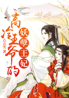 高冷王爷的妖孽王妃小说