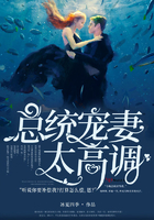 总统宠妻太高调免费阅读完整版