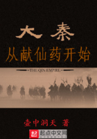 大秦从献仙药开始 小说